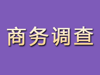 江北区商务调查